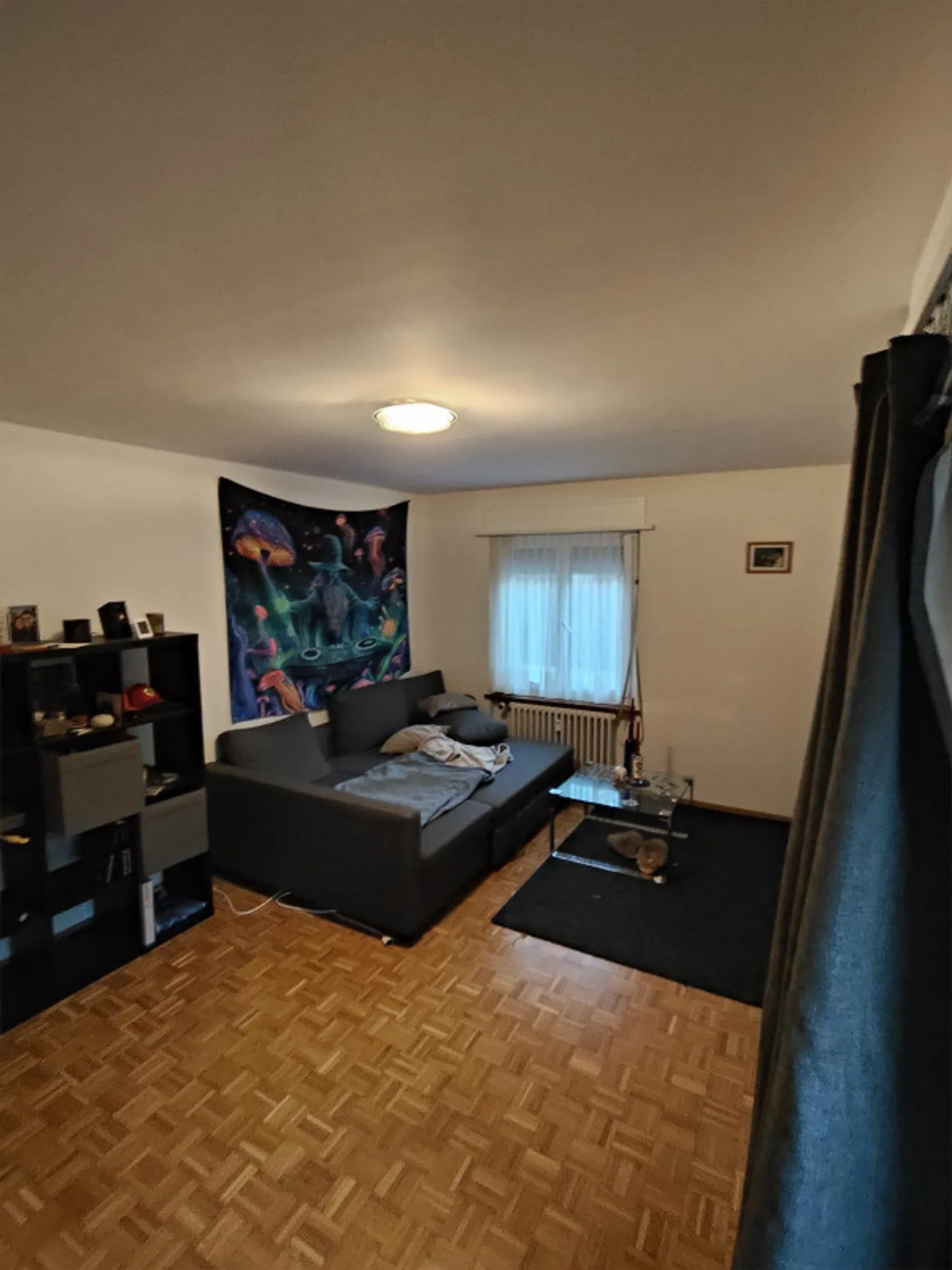 3.5 Room Apartment with Balcony - Photo 11 of 14