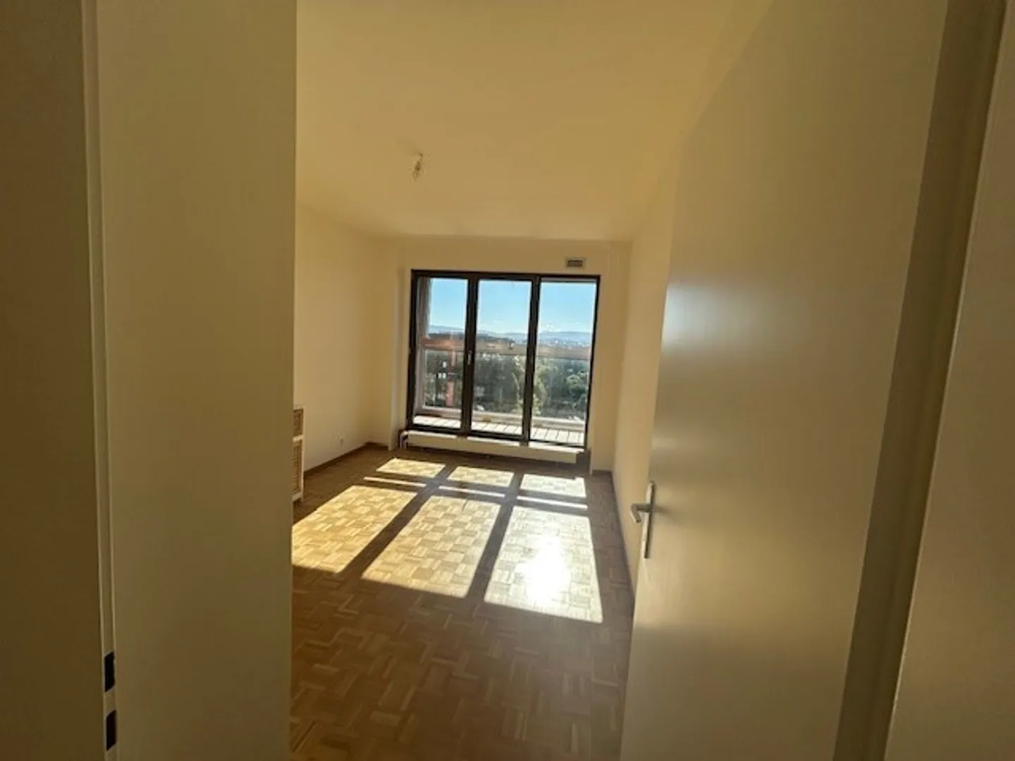 BOUCHET/BALEXERT DISTRICT - 4 rooms UNFURNISHED - Photo 5 of 9
