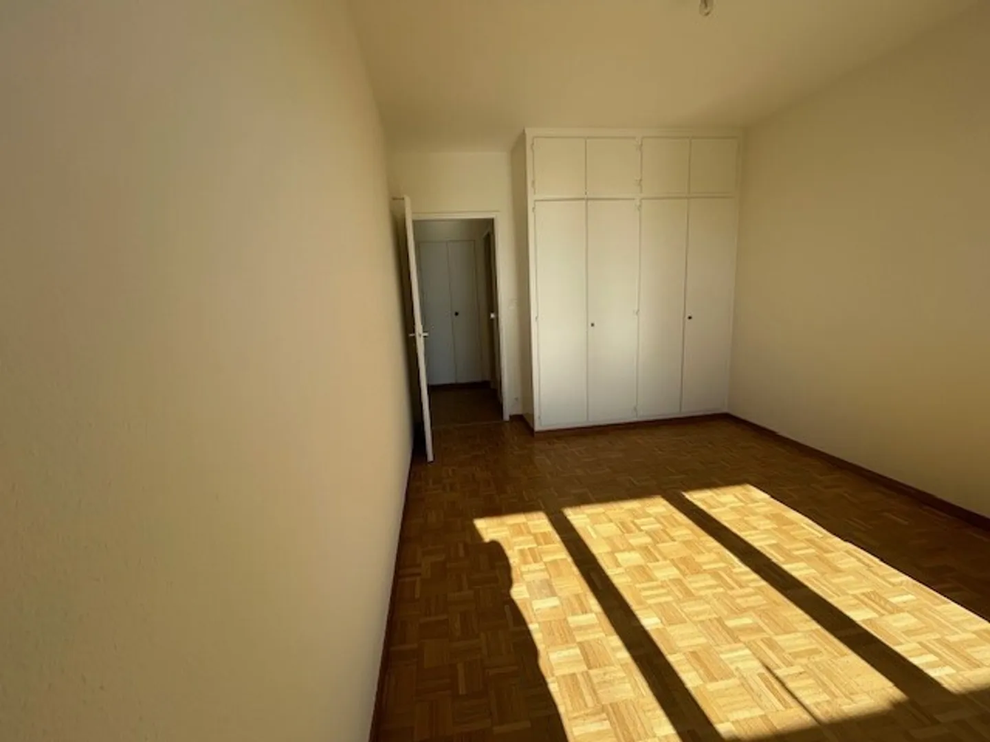 BOUCHET/BALEXERT DISTRICT - 4 rooms UNFURNISHED - Photo 6 of 9