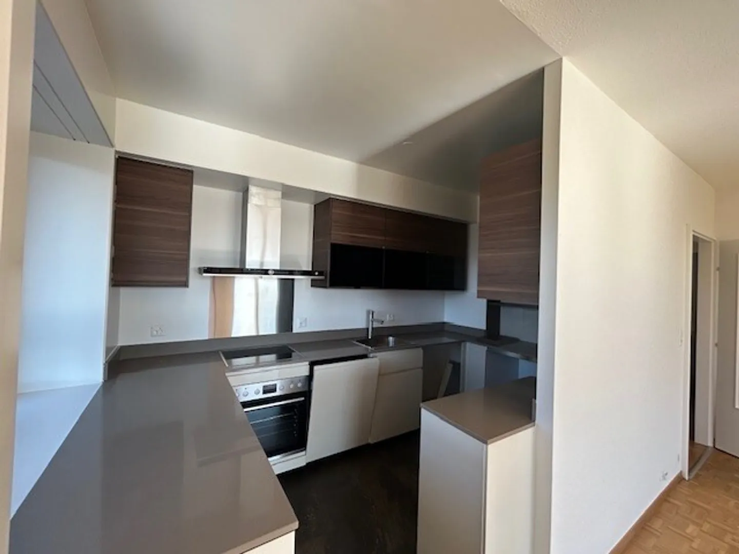 BOUCHET/BALEXERT DISTRICT - 4 rooms UNFURNISHED - Photo 3 of 9