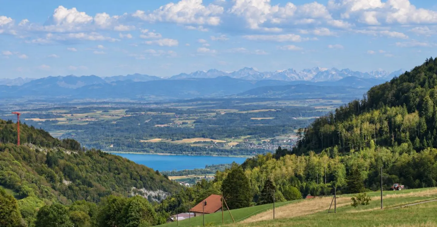 Eine außergewöhnliche Penthousewohnung mit 4,5 Zimmern und Blick auf den See und die Alpen - Foto 10 von 10
