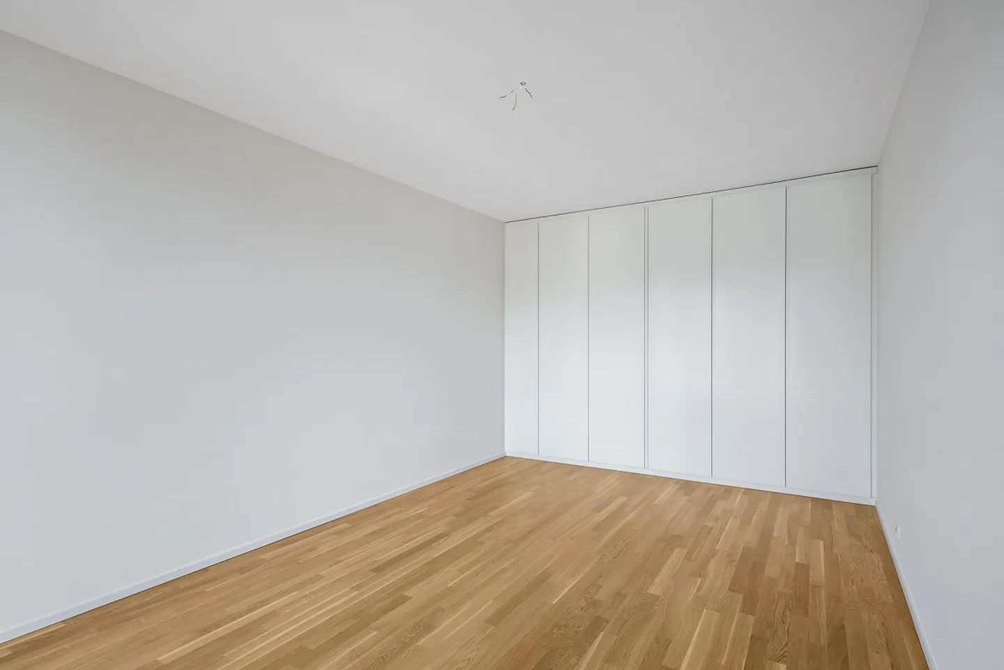 Attenzione Pendolari: a 15 minuti da Zurigo con i mezzi pubblici! - Foto 7 di 12