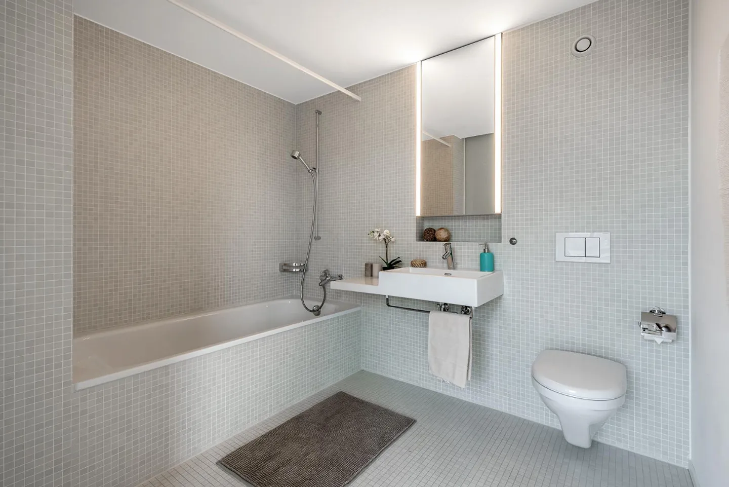 Attenzione Pendolari: a 15 minuti da Zurigo con i mezzi pubblici! - Foto 8 di 12