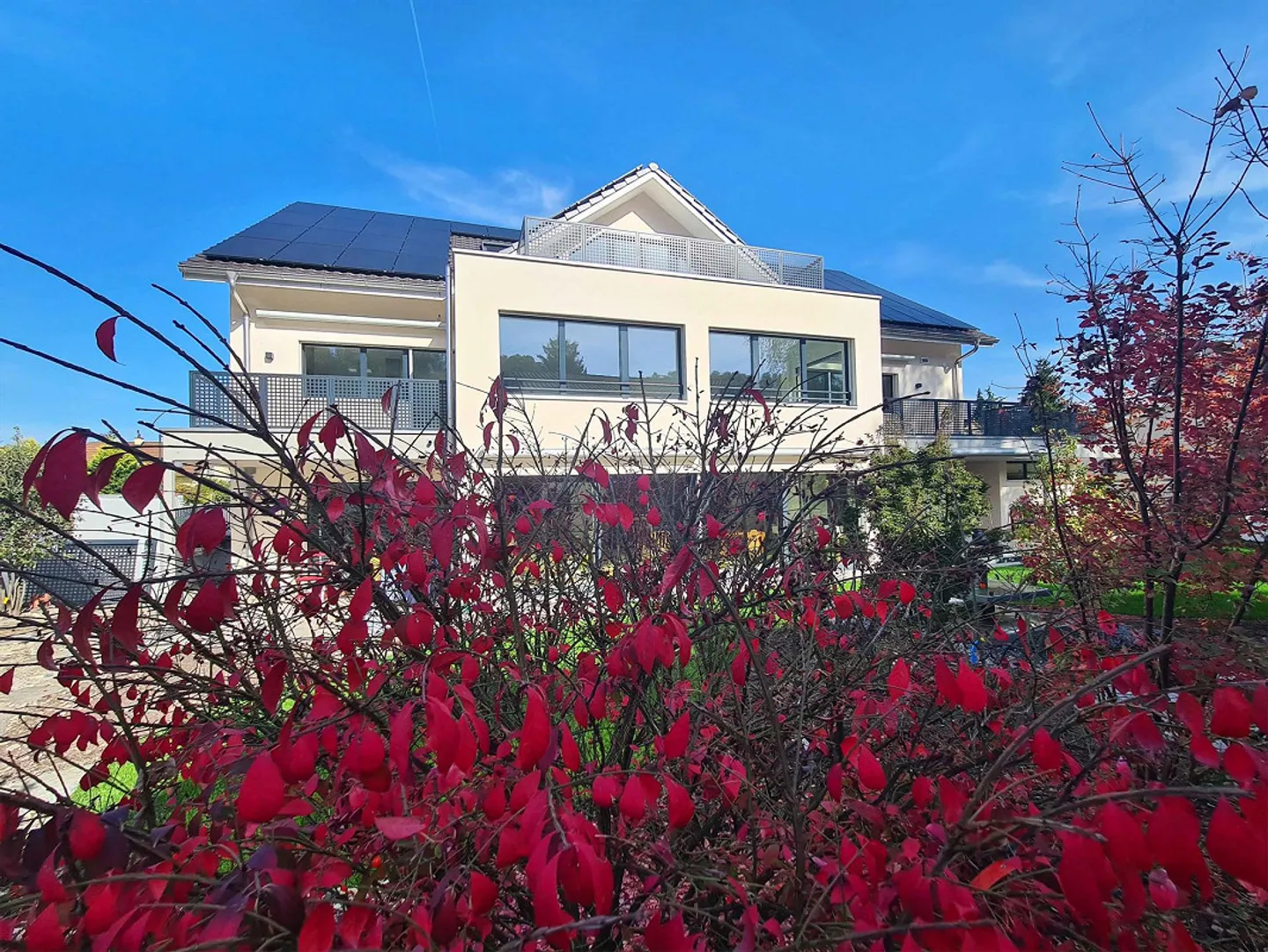 Modern Barrier-Free Living with a View - Photo 9 of 11