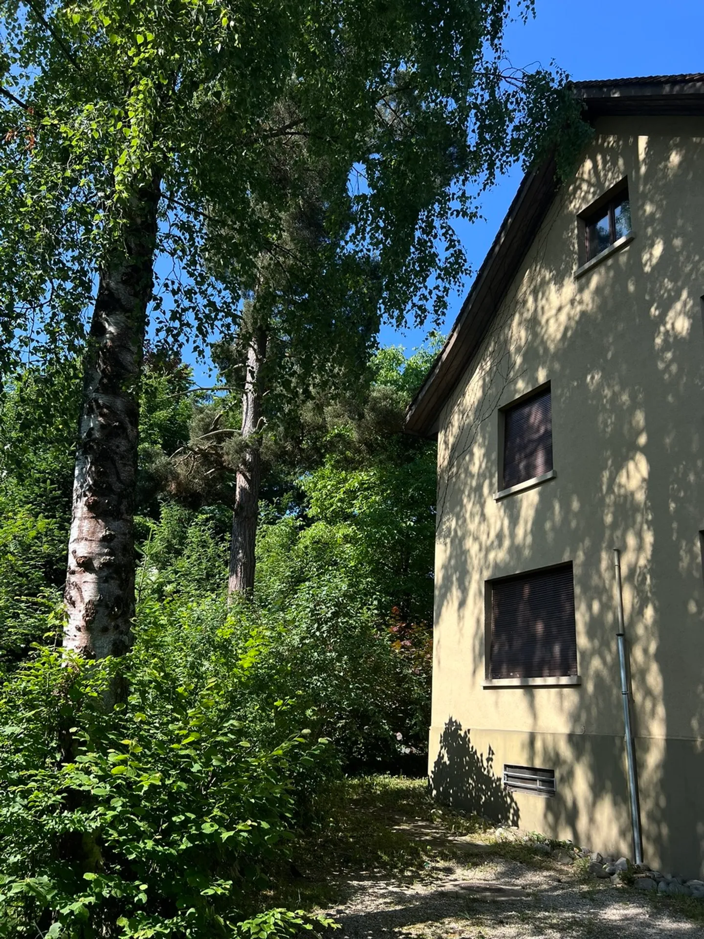 Charmantes freistehendes Haus mit grossem Grundstück in Laufen - Foto 10 von 10