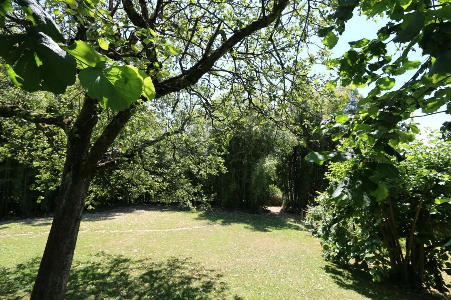 Appartamento in affitto - Foto 4 di 14