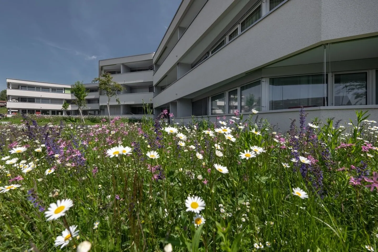 Modern 2.5-Room Apartment - Photo 8 of 10