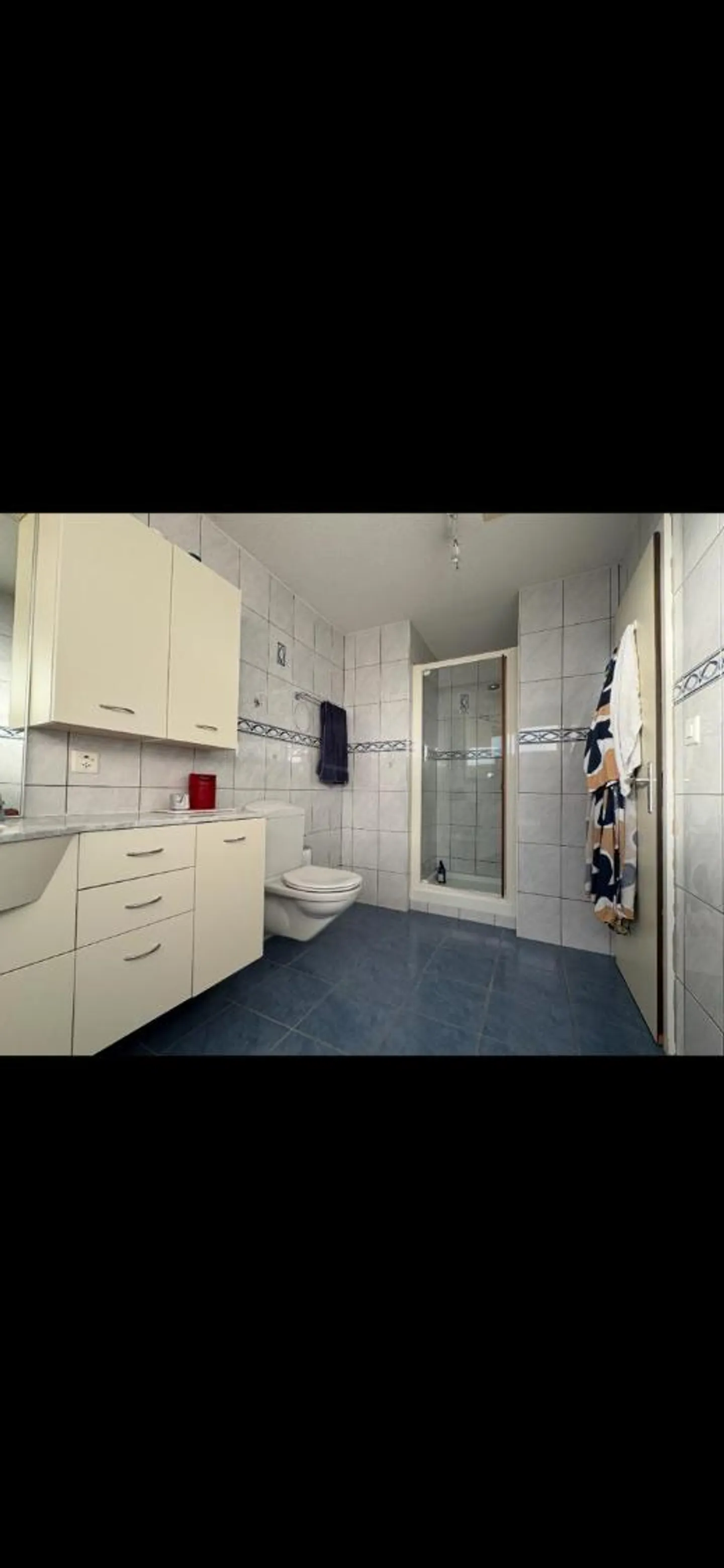 Geräumige Renovierte Wohnung - Foto 8 von 12