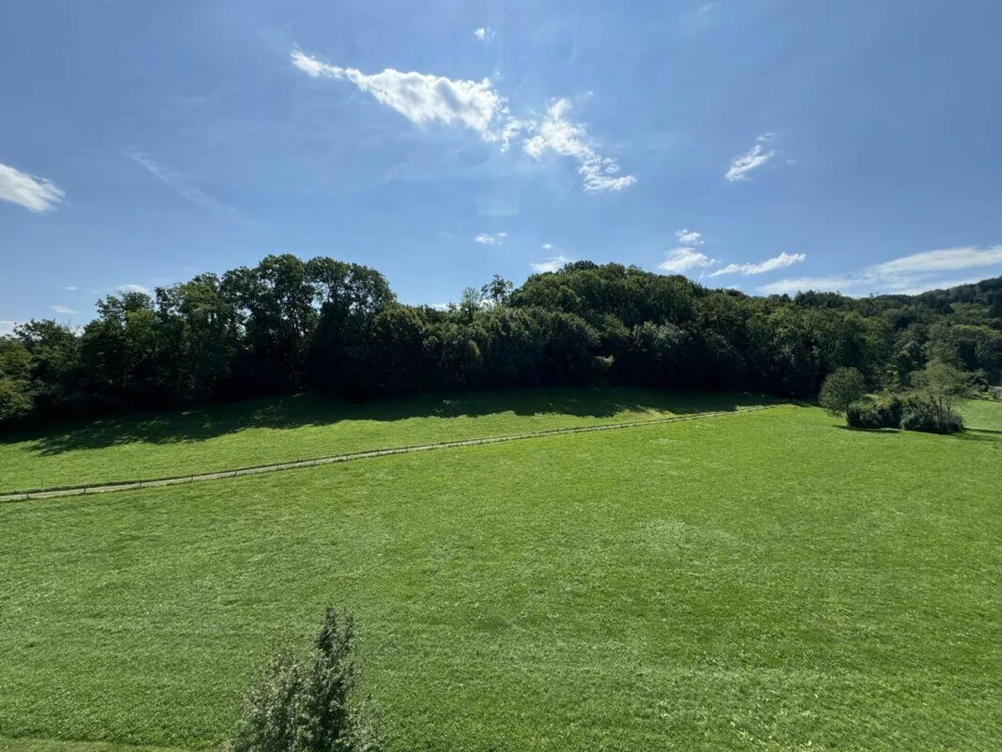 moderne Wohnung mit Blick ins Grüne - Foto 8 von 9