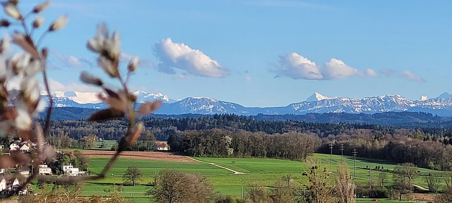 Grosszügiges EFH mit 60 m2 grosser Terrasse und traumhafter Aussicht bis zu den Alpen - Photo 2 sur 16