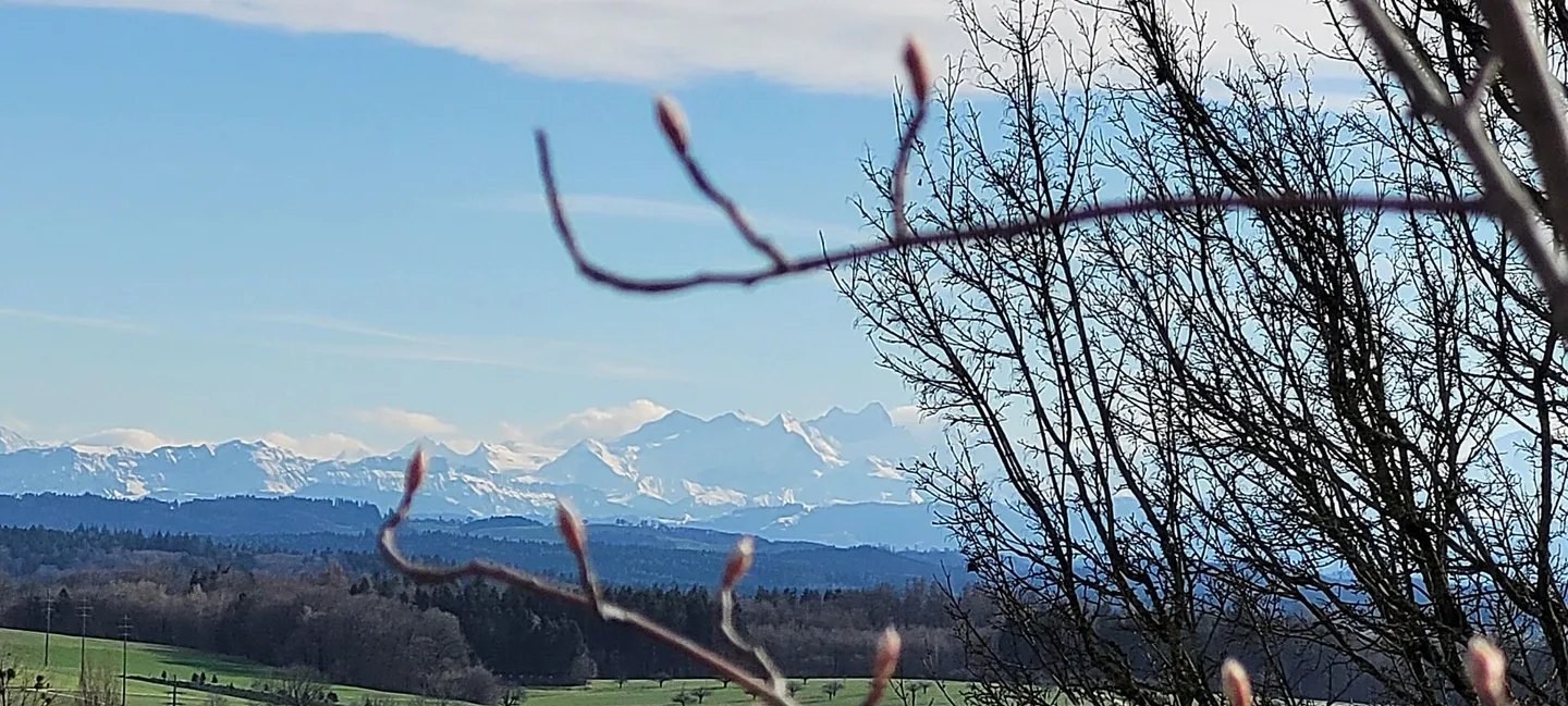 Grosszügiges EFH mit 60 m2 grosser Terrasse und traumhafter Aussicht bis zu den Alpen - Photo 15 sur 16