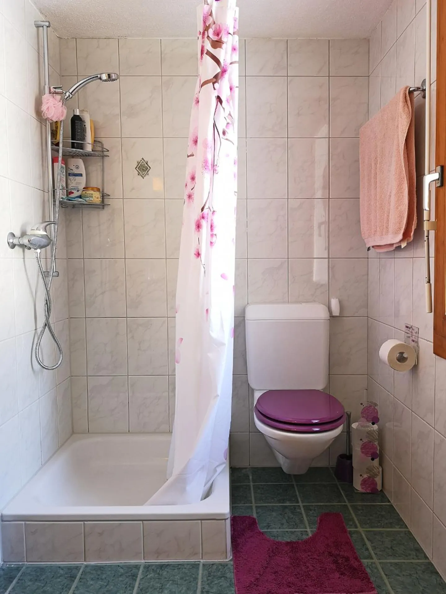 Spacieux villa-chalet de 4œ pièces, au calme absolu - Foto 10 di 11