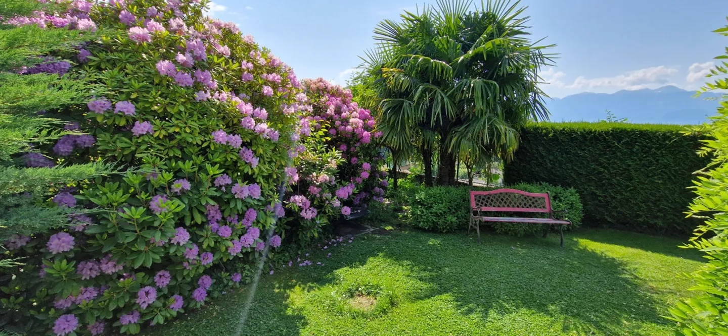 Casa singola in affitto - Foto 11 di 11