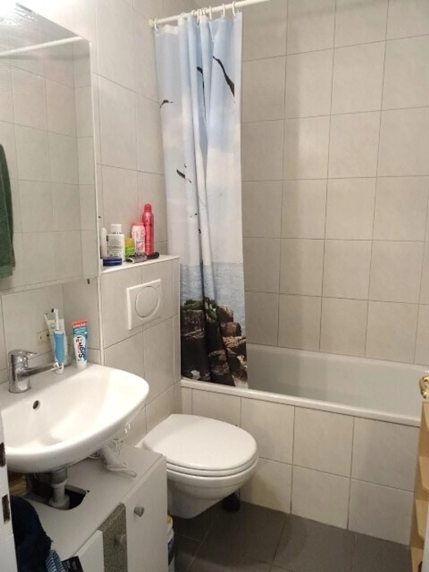 Appartamento in affitto - Foto 3 di 7