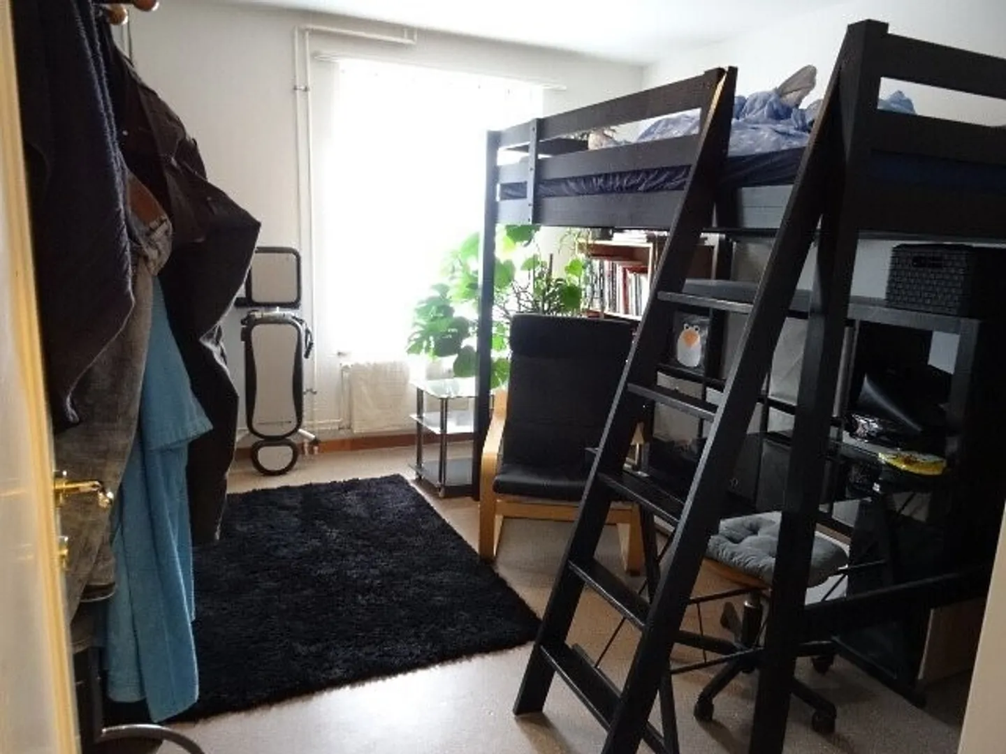 Appartamento in affitto - Foto 6 di 7