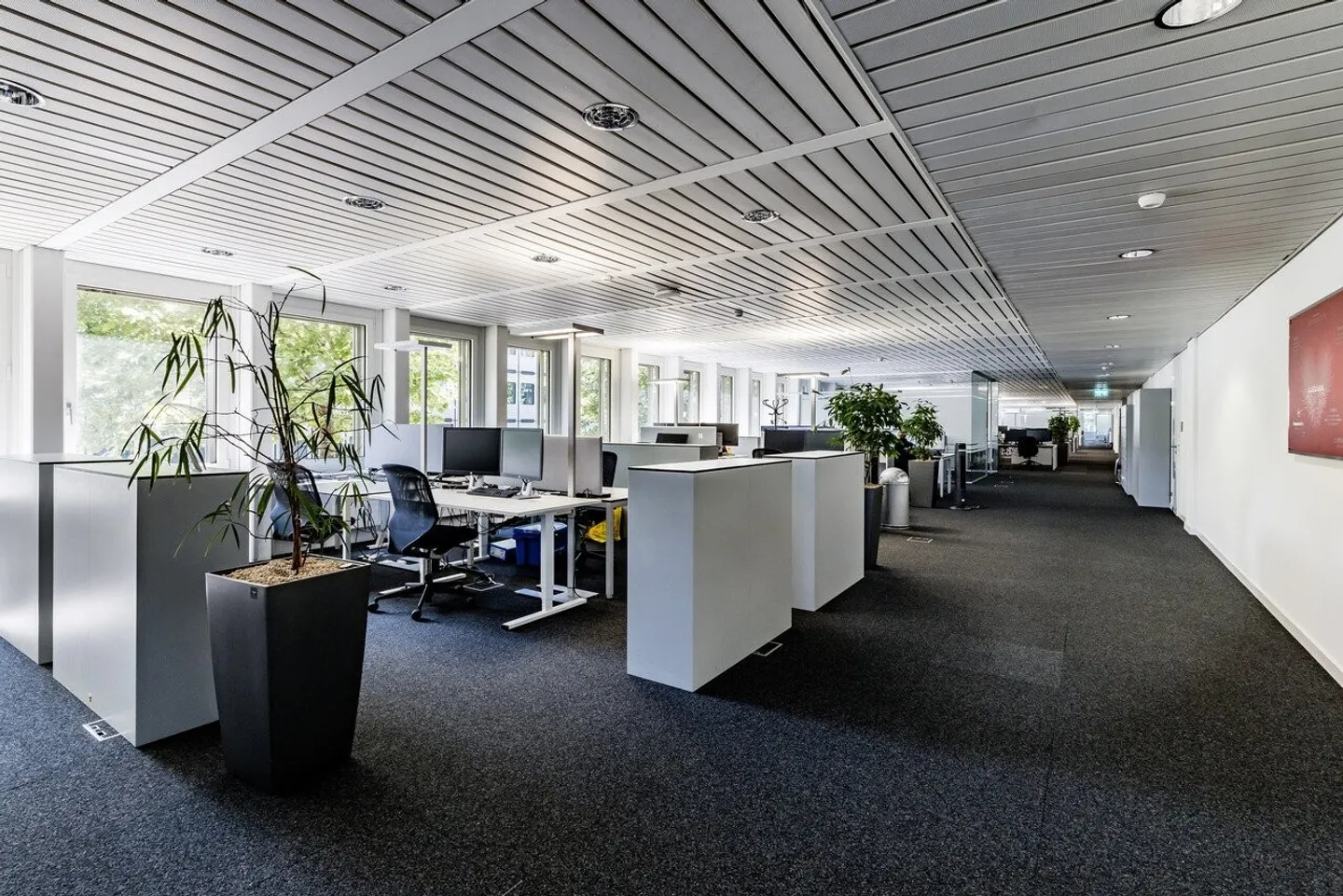 Light-Filled Office Spaces with High Flexibility - Photo 3 of 13