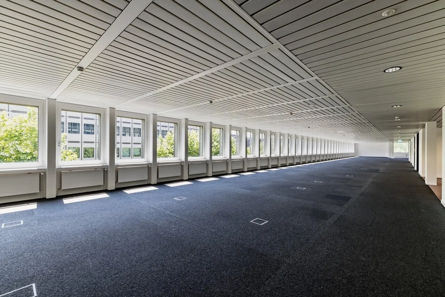 Light-Filled Office Spaces with High Flexibility - Photo 6 of 13