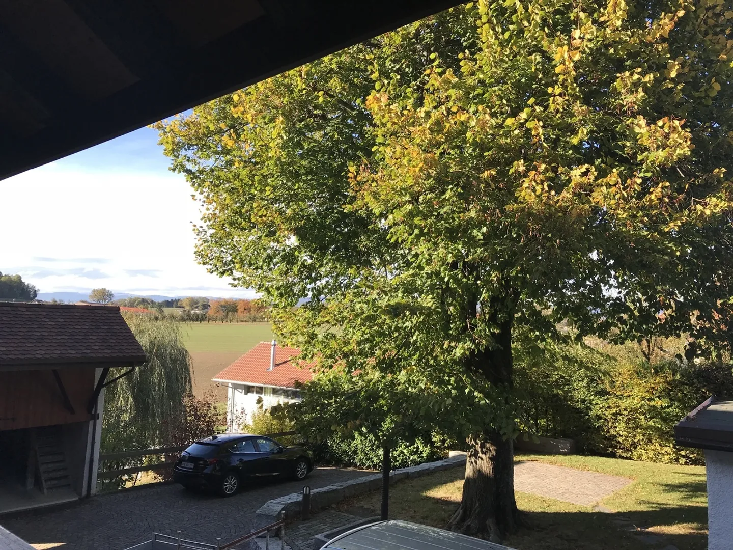 Un sogno da vivere! - Foto 3 di 16