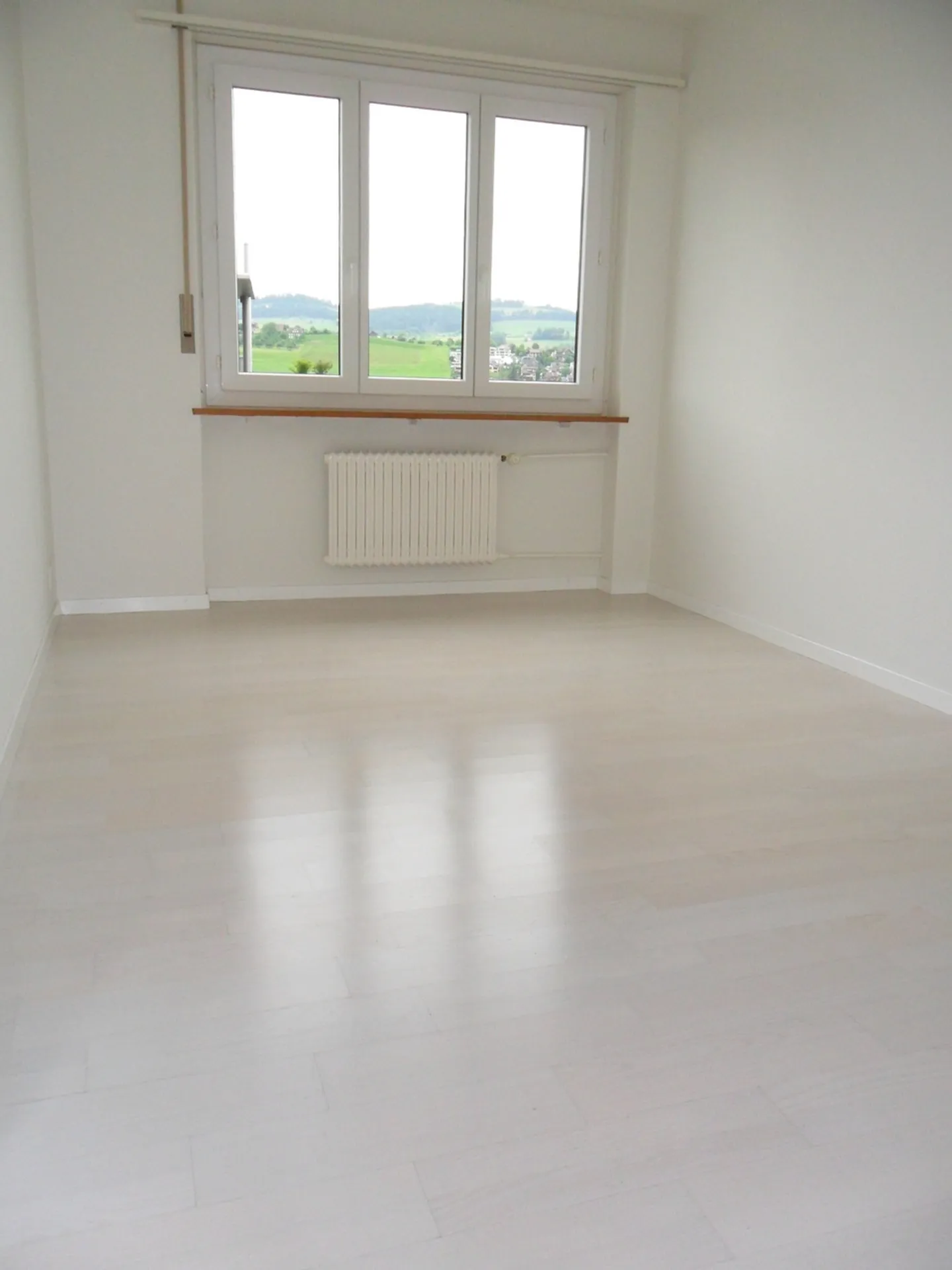 Charming apartment in a central location in Küssnacht am Rigi - Photo 3 of 7