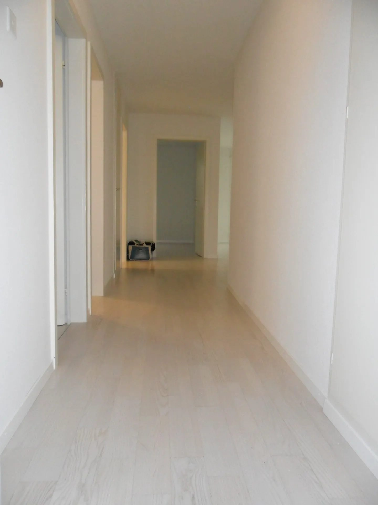 Charming apartment in a central location in Küssnacht am Rigi - Photo 6 of 7