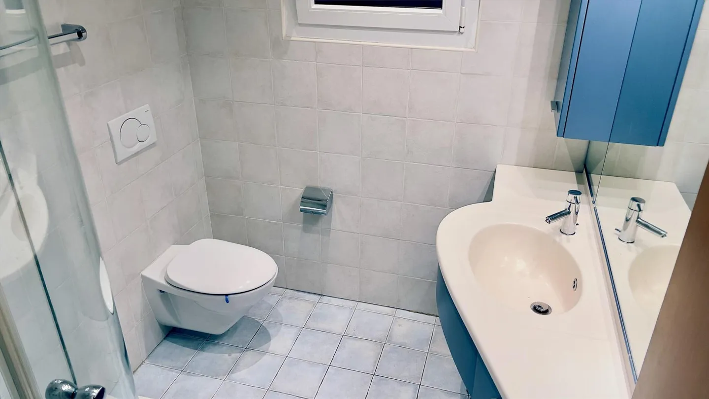 À LOUER 3.5 PIÈCES AVEC JARDIN VUE SUR LE LAC À BOSCO LUGANESE - Photo 7 sur 10