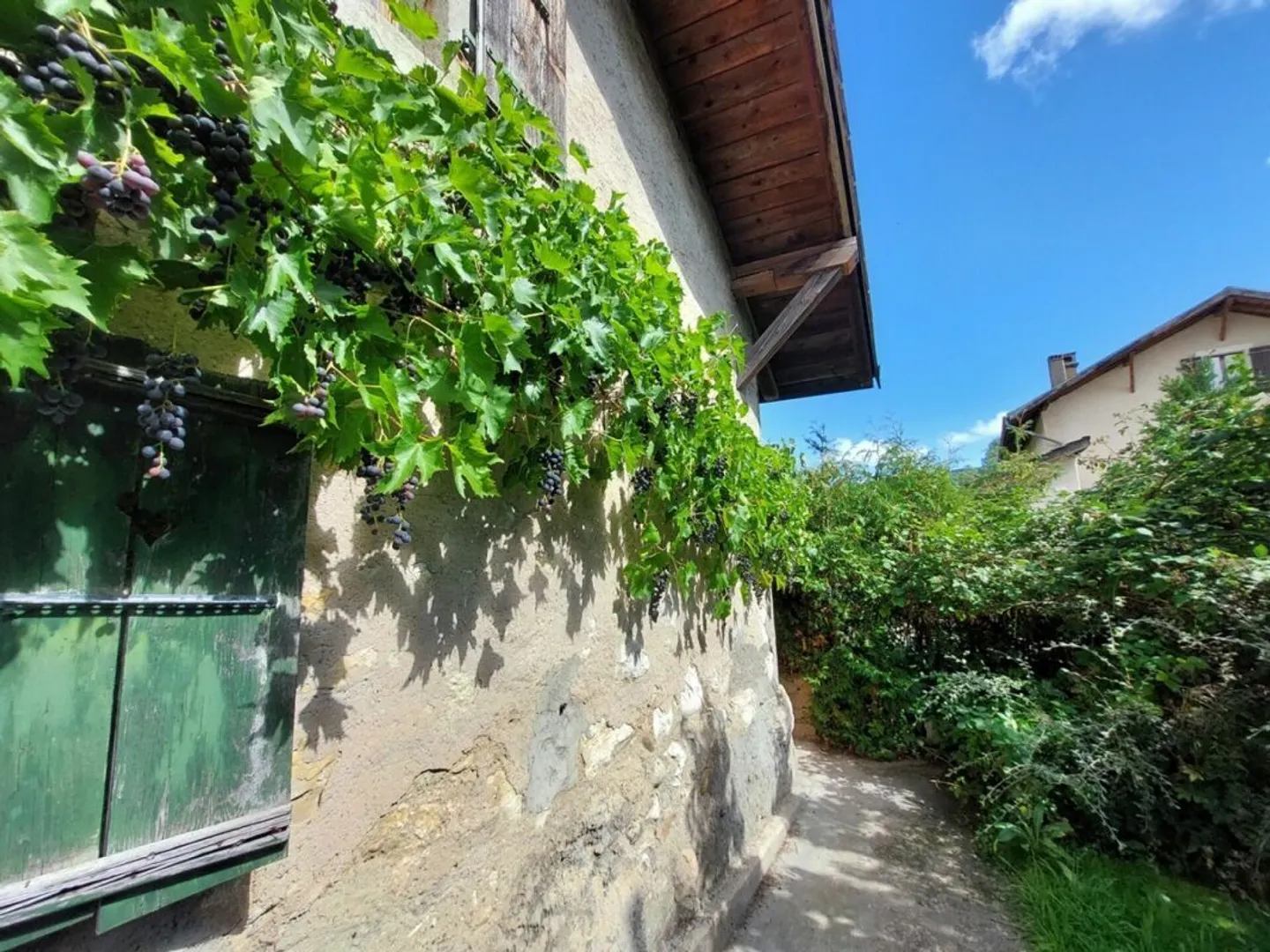 Fattoria in affitto - Foto 4 di 16