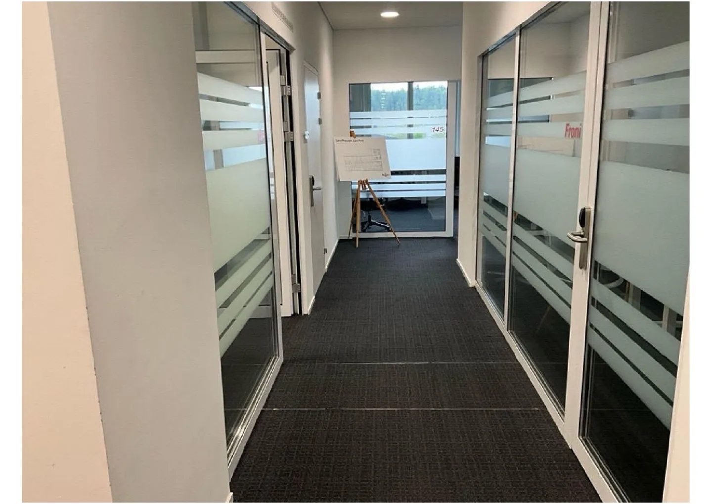 Spazio commerciale arredato nell'arena FCS - Foto 8 di 11