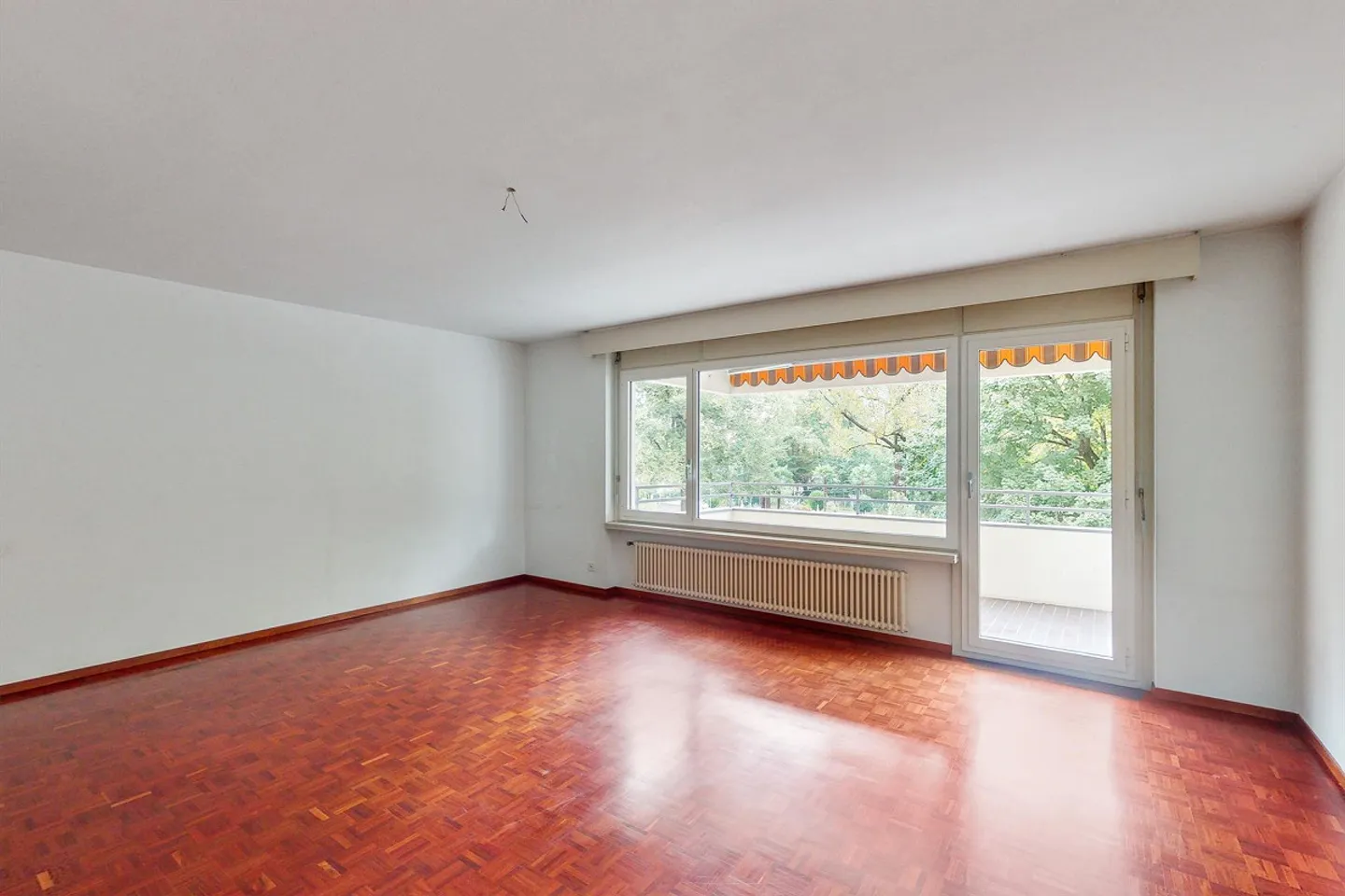 Spacious apartment with park view on the island - Photo 1 of 9