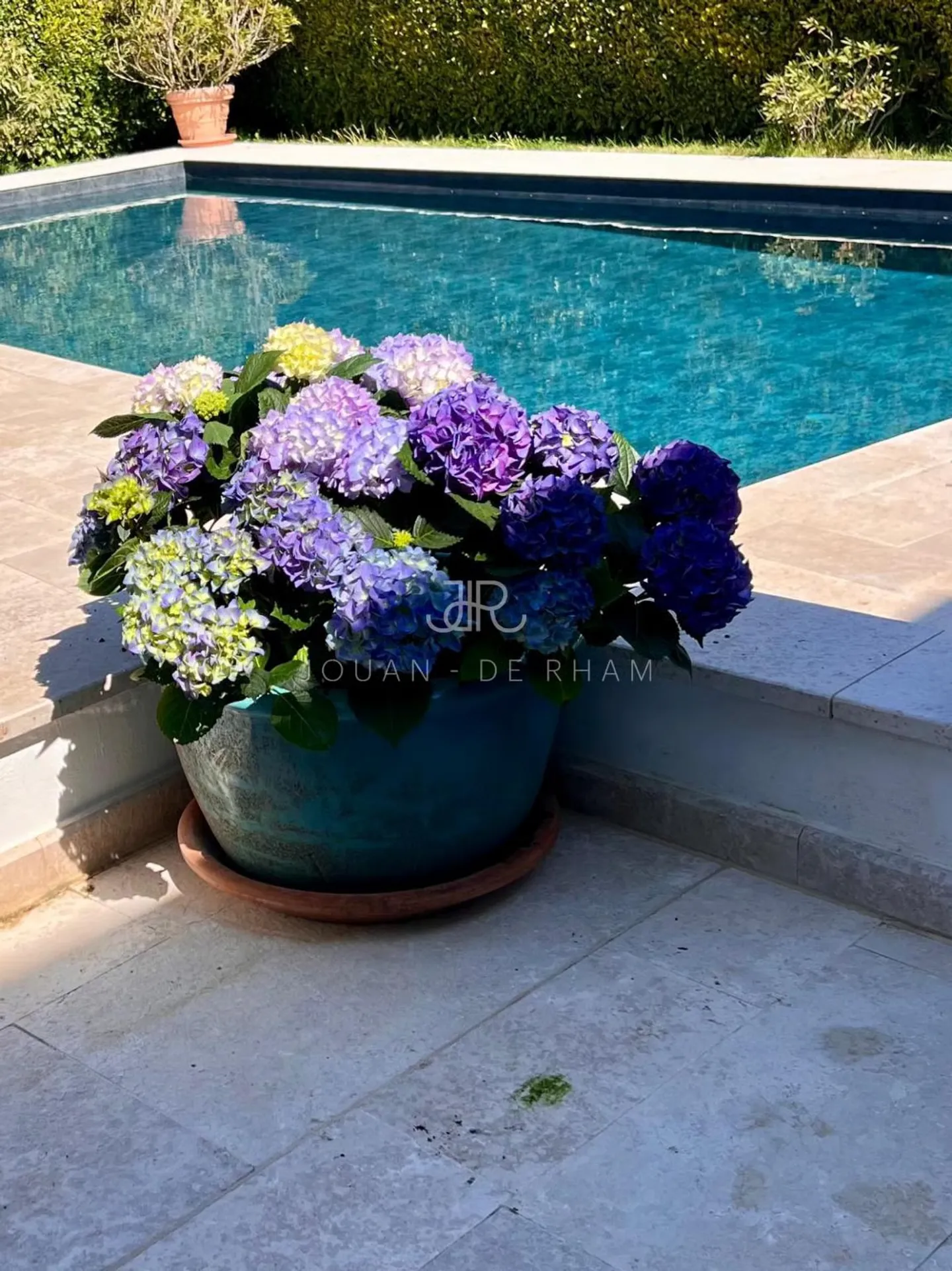 OFF MARKET - Maison familiale Founex - Photo 2 sur 2