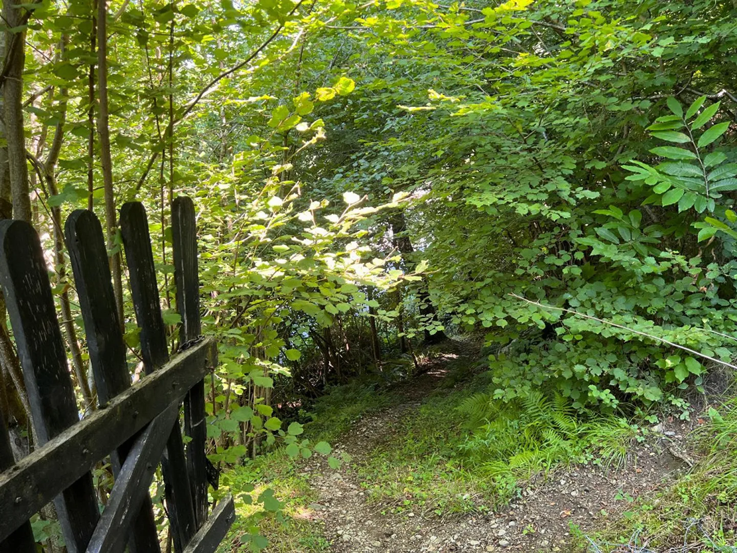 2.5 Room Rustic in a Secluded Location in the Forest - Photo 20 of 24