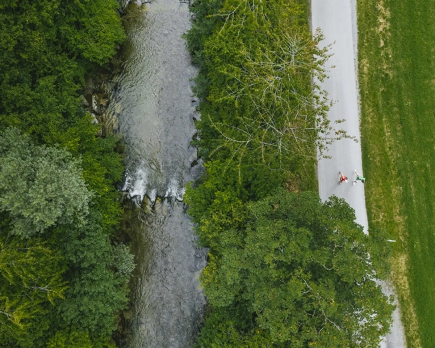 Penthouse avec terrasse exclusive - Photo 5 sur 7