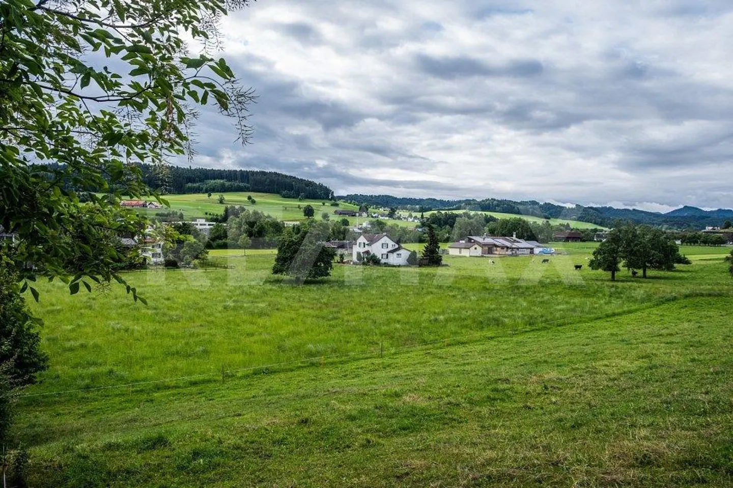 Moderne Einfamilienhaus in Sirnach - Foto 4 von 13