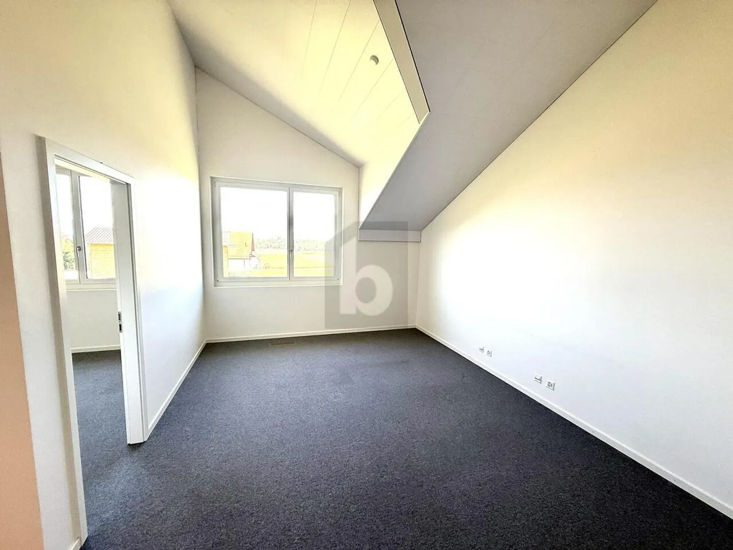 Spacious Office Space in Etagnières - Photo 2 of 6