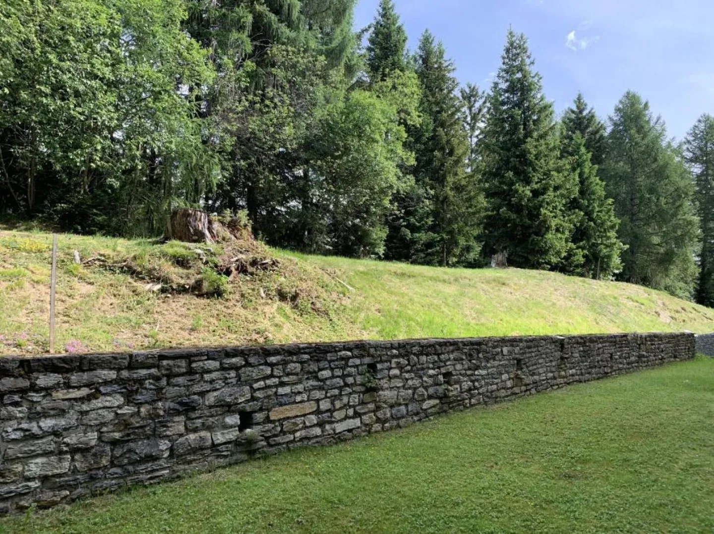 1.5 Room Apartment - Photo 6 of 8