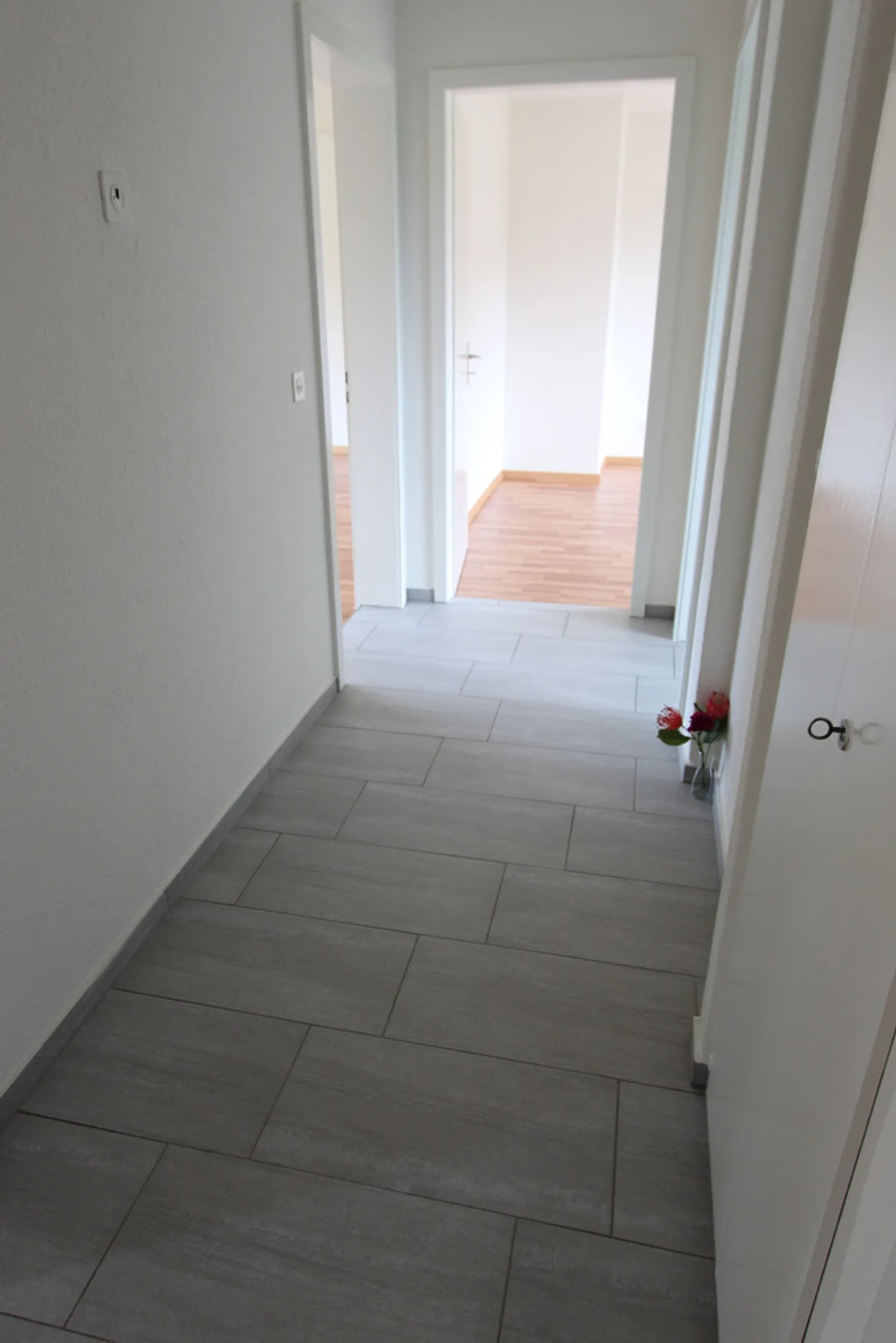 Appartamento Tranquillo e Spazioso a Riniken Cerca Nuovo Inquilino! - Foto 6 di 7