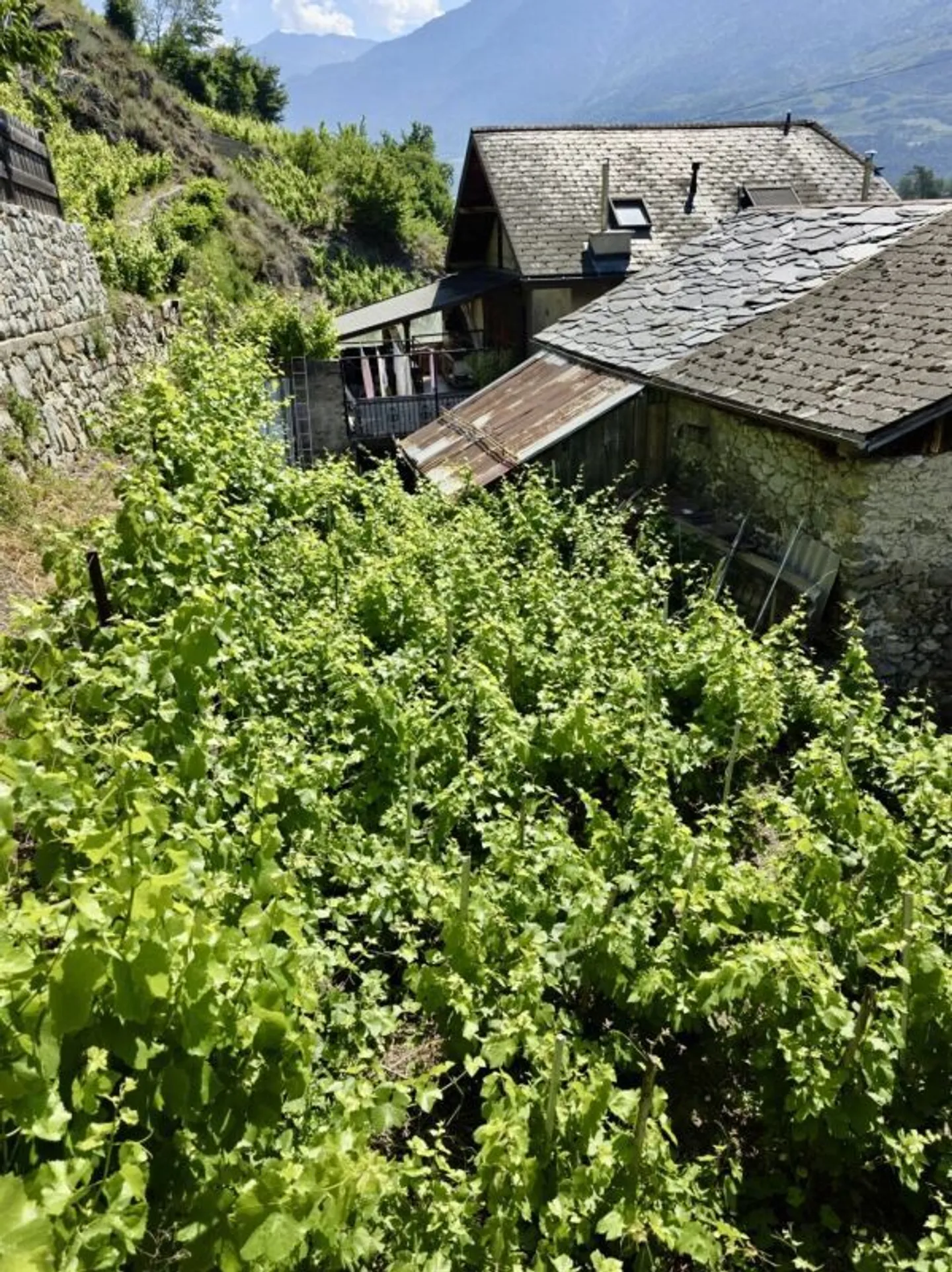Scheune mit Garten im Herzen von Fully - Foto 2 von 5