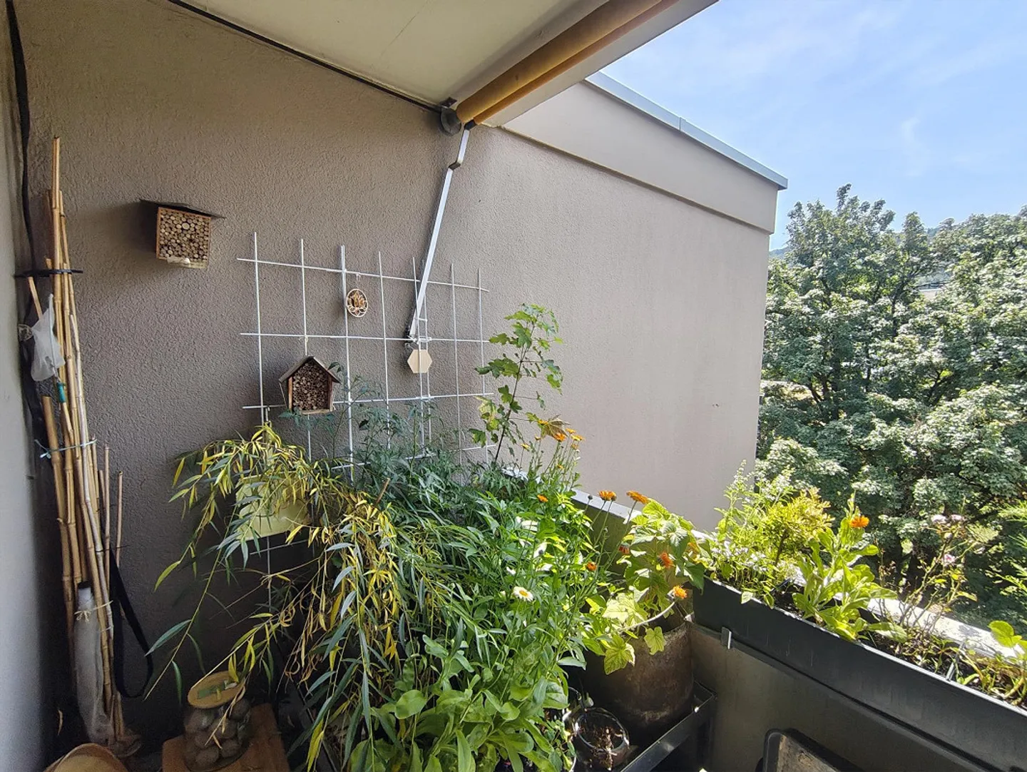 Appartamento luminoso di 3,5 stanze con balcone in affitto temporaneo dal 26 ottobre al 28 aprile - Foto 11 di 12
