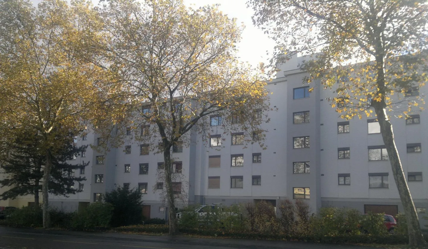 Appartamento accogliente di 2,5 stanze - Foto 1 di 7