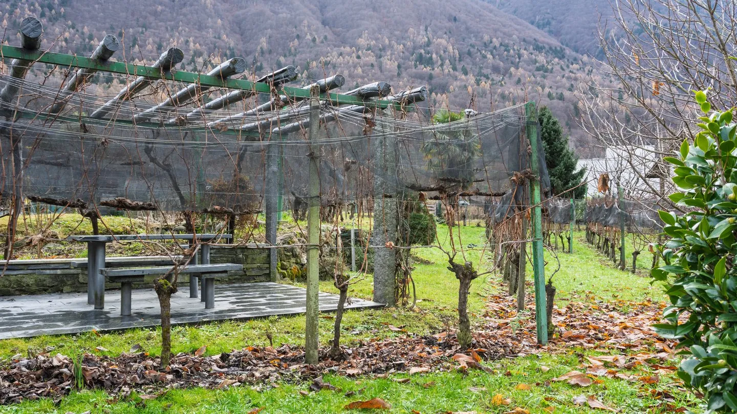 Villa con terreno proprio e diritti edificatori R2 - Foto 13 di 37