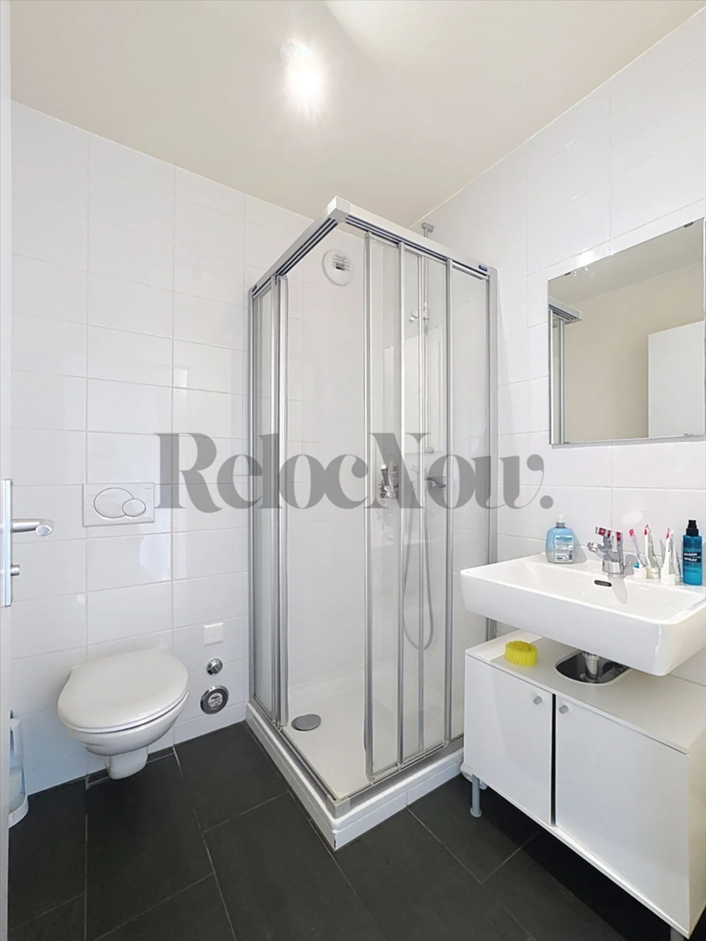 ??? Eaux-Vives - Wunderschöne 6-Zimmer-Duplexwohnung im 6. Stock mit Aufzug - Foto 8 von 9
