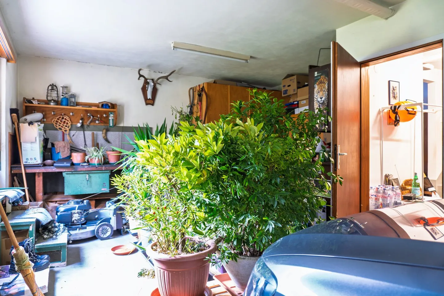 Villa con terreno proprio e diritti edificatori R2 - Foto 36 di 37