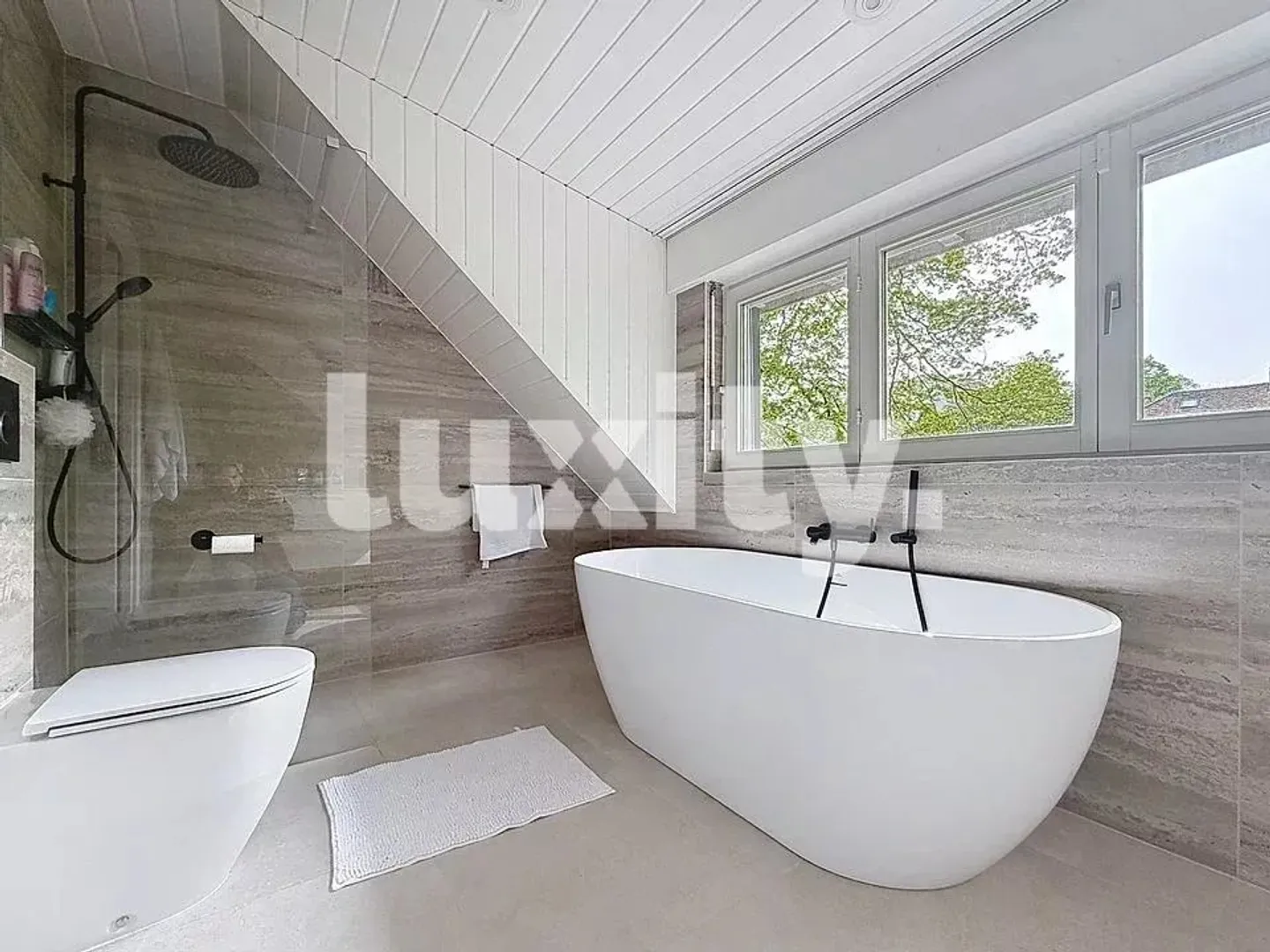 Stupenda casa con grande giardino a Versoix - Foto 3 di 5