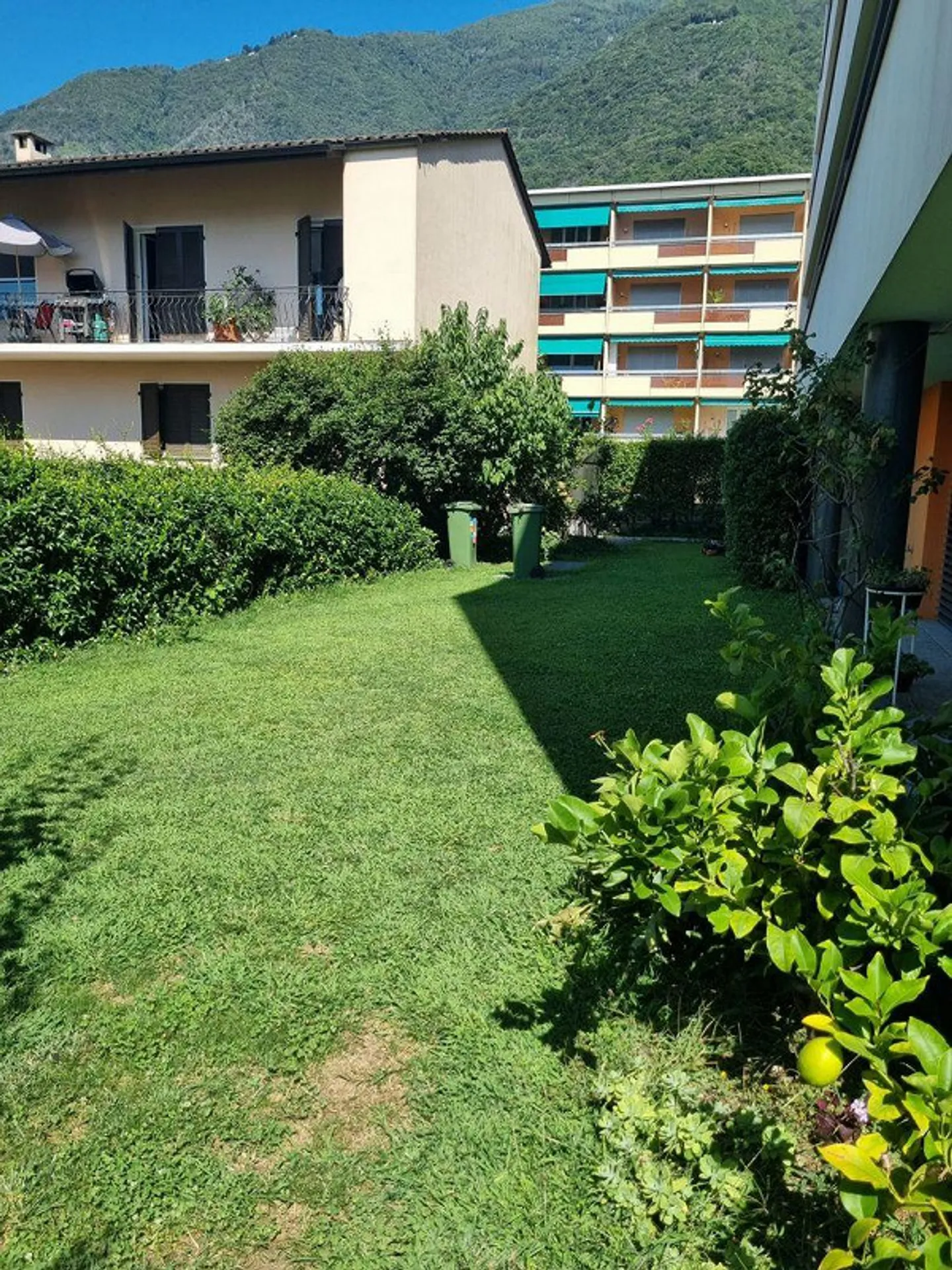 Charmante Gartenwohnung in Minusio - Foto 7 von 10