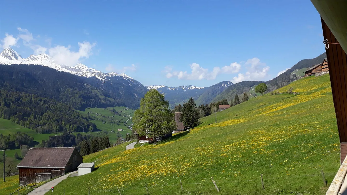 Appartamento 3,5 locali a Unterwasser con vista magnifica - Foto 4 di 17