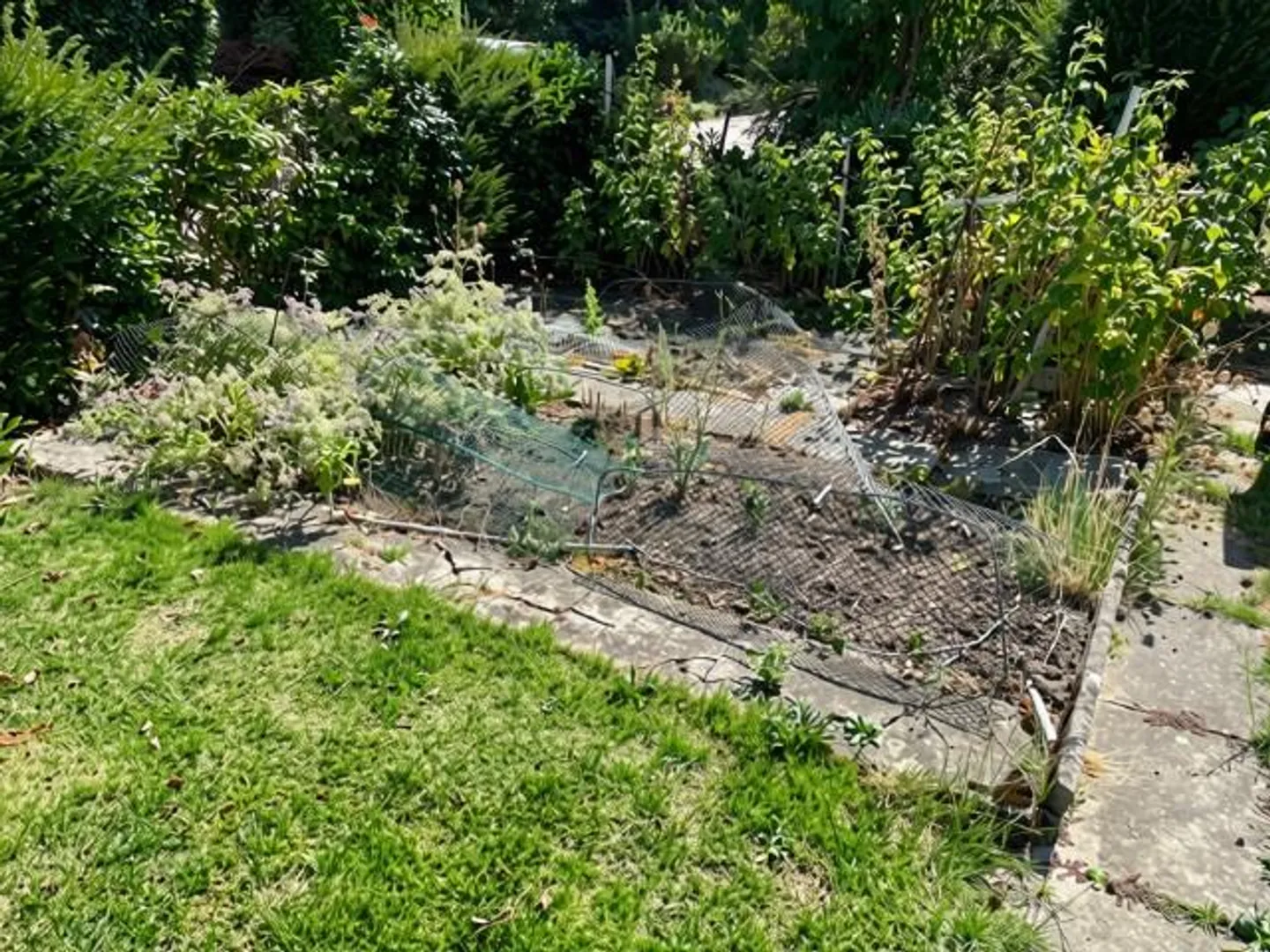 Charmantes Freistehendes Einfamilienhaus - Foto 24 von 26