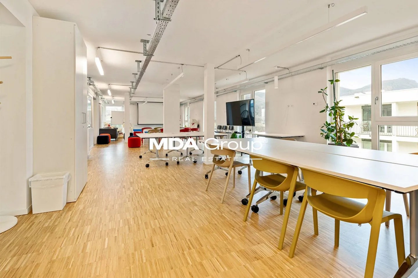 Office - Mendrisio - Photo 4 of 13