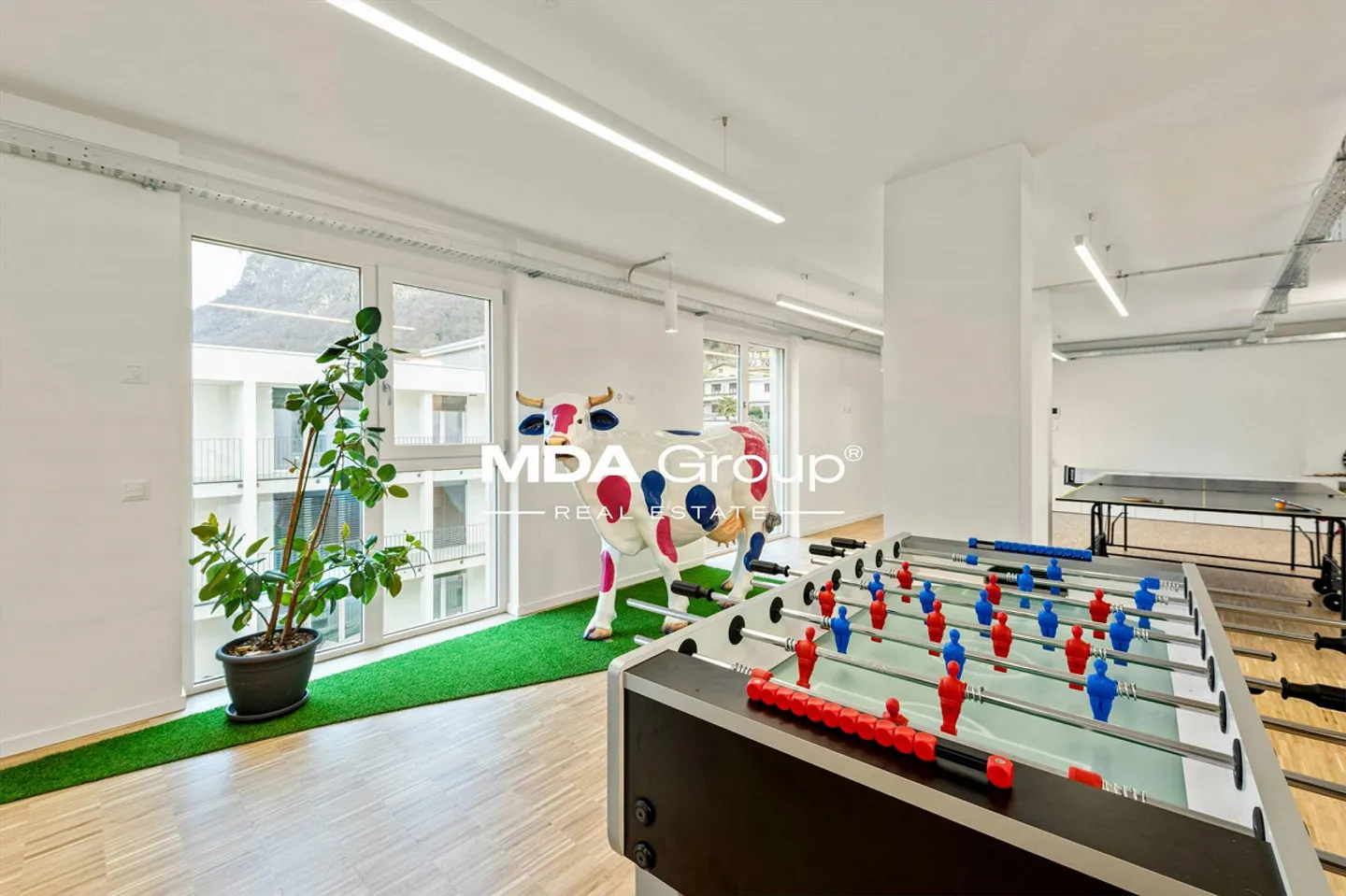 Office - Mendrisio - Photo 9 of 13