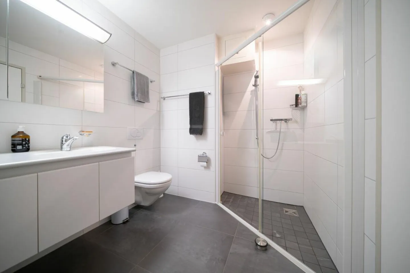 Appartement Minergie spacieux avec 31 m² de surface de terrasse près de Zurich - Photo 5 sur 6