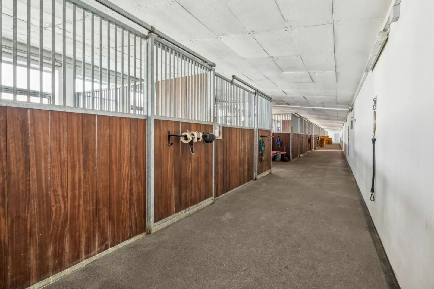 Equestrian Center with Diverse Infrastructure and Expansion Possibilities - Photo 4 of 18
