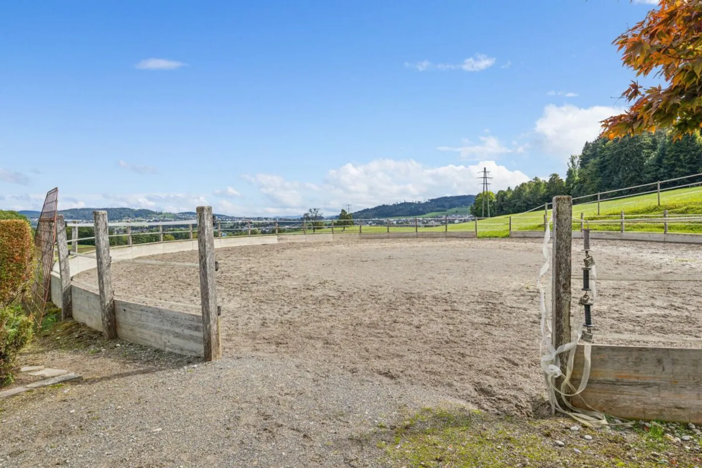 Equestrian Center with Diverse Infrastructure and Expansion Possibilities - Photo 8 of 18